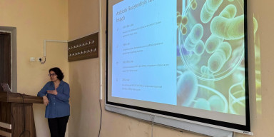 BDU-da qızılı stafilokok bakteriyasına qarşı müqavimət mexanizmlərinə dair araşdırmalar aparılır