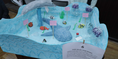 BDU-da Ümumdünya Ətraf Mühitin Mühafizəsi Gününə həsr olunmuş müsabiqə - “EkoGün-2025”