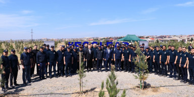 ECOLEAD layihəsi uğurla icra olunur