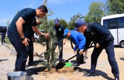 ECOLEAD layihəsi uğurla icra olunur