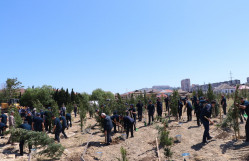 ECOLEAD layihəsi uğurla icra olunur