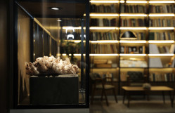 BDU-nun Faydalı qazıntılar muzeyinin BP və tərəfdaş şirkətlərin dəstəyi ilə əsaslı təmirdən sonra açılış mərasimi