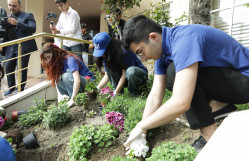 BDU-da çiçəkəkmə aksiyası