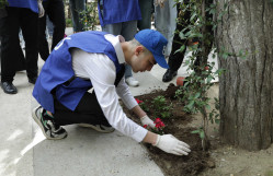 BDU-da çiçəkəkmə aksiyası