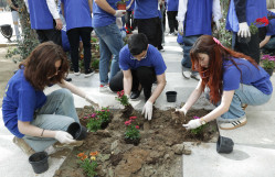 BDU-da çiçəkəkmə aksiyası