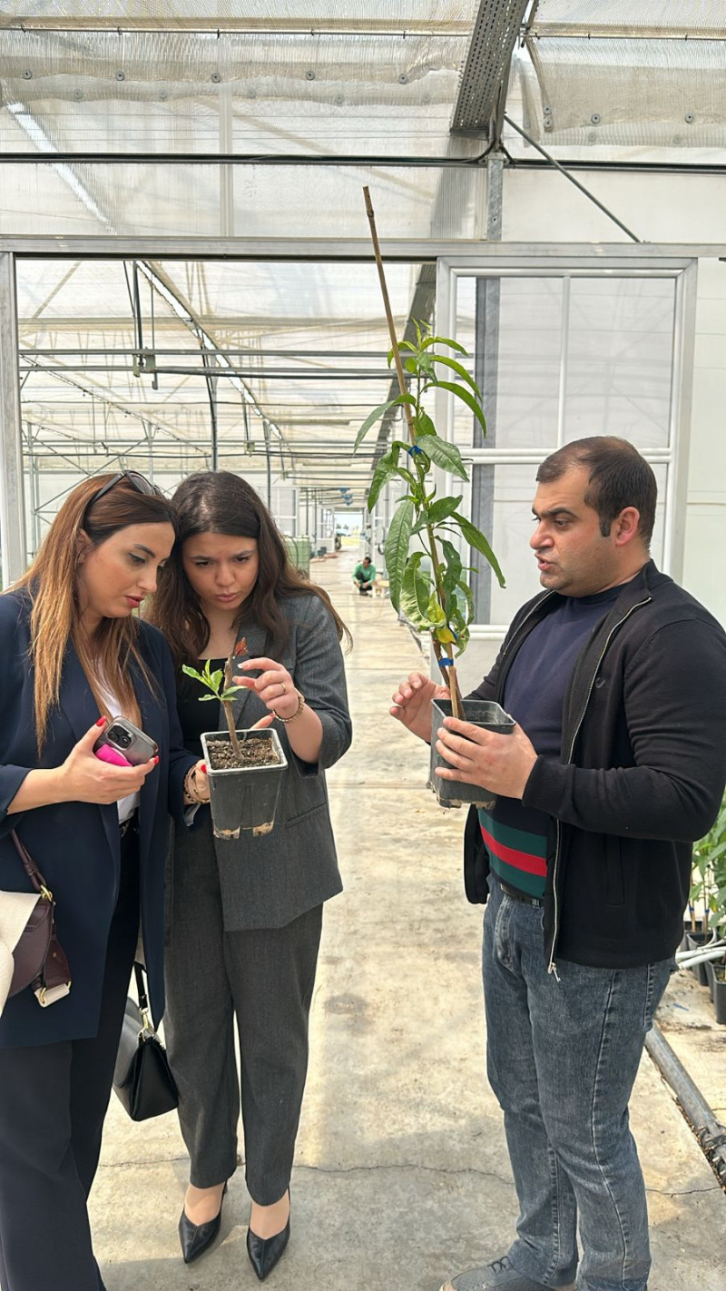 BDU nümayəndələrinin “Grand Agro Invitro” şirkətində işgüzar görüşü