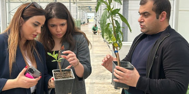 BDU nümayəndələrinin “Grand Agro Invitro” şirkətində işgüzar görüşü