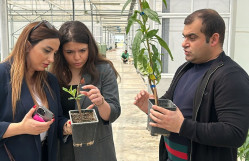 BDU nümayəndələrinin “Grand Agro Invitro” şirkətində işgüzar görüşü