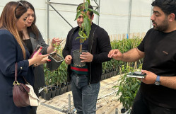 BDU nümayəndələrinin “Grand Agro Invitro” şirkətində işgüzar görüşü