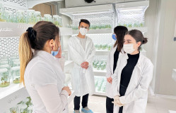 BDU-nun magistrantlarına Tərəvəzçilik Elmi-Tədqiqat İnstitutunda innovativ tədris metodları ilə dərs keçilir