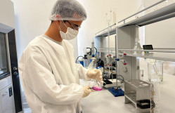 BDU-nun magistrantlarına Tərəvəzçilik Elmi-Tədqiqat İnstitutunda innovativ tədris metodları ilə dərs keçilir