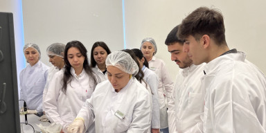 BDU-nun Ekologiya və torpaqşünaslıq fakültəsinin tələbələri Tərəvəzçilik Elmi-Tədqiqat İnstitutunda istehsalat təcrübəsində