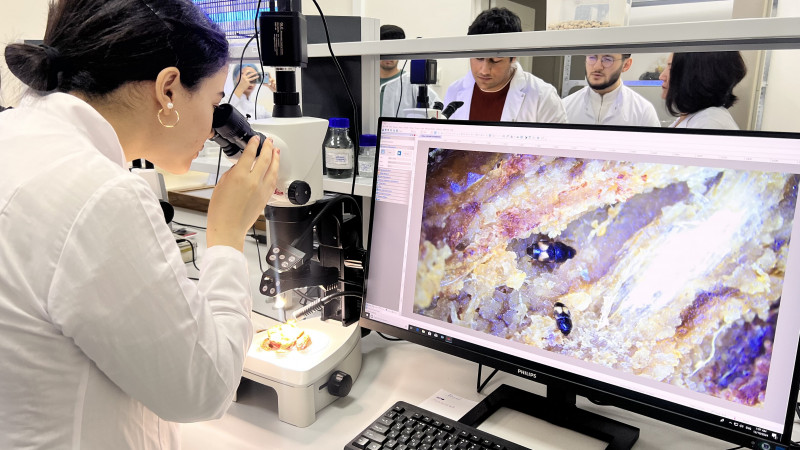 BDU-nun SABAH qruplarının tələbələri AQTİ-nin Mərkəzi Fitosanitar Laboratoriyasının fəaliyyəti ilə tanış olublar