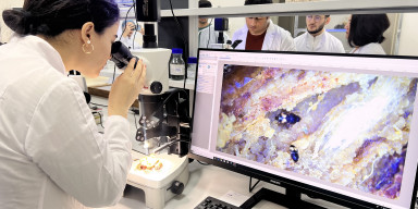 BDU-nun SABAH qruplarının tələbələri AQTİ-nin Mərkəzi Fitosanitar Laboratoriyasının fəaliyyəti ilə tanış olublar