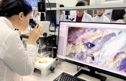 BDU-nun SABAH qruplarının tələbələri AQTİ-nin Mərkəzi Fitosanitar Laboratoriyasının fəaliyyəti ilə tanış olublar