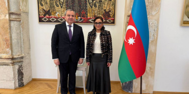 BDU-nun rektoru Elçin Babayev Vyanada Azərbaycan Mədəniyyət Mərkəzinin rəhbəri Leyla Qasımova ilə görüşüb