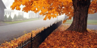 BDU-nun Astrofizika kafedrası: Payız fəsli Azərbaycana sentyabrın 23-ü saat 10:49:56-da daxil olacaq