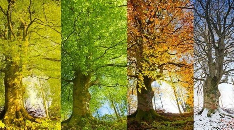 BDU-nun Astrofizika kafedrası 2025-ci ildə fəsillərin Azərbaycana daxilolma vaxtlarını açıqlayıb