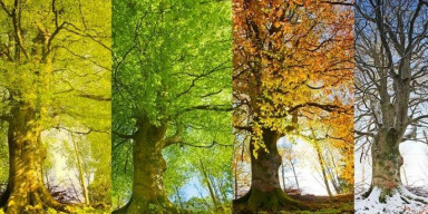 BDU-nun Astrofizika kafedrası 2025-ci ildə fəsillərin Azərbaycana daxilolma vaxtlarını açıqlayıb