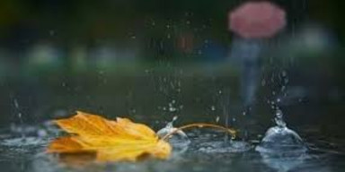 BDU-nun Astrofizika kafedrası: “Payız fəsli Azərbaycana sentyabrın 22-si saat 16:43:36-da daxil olacaq”