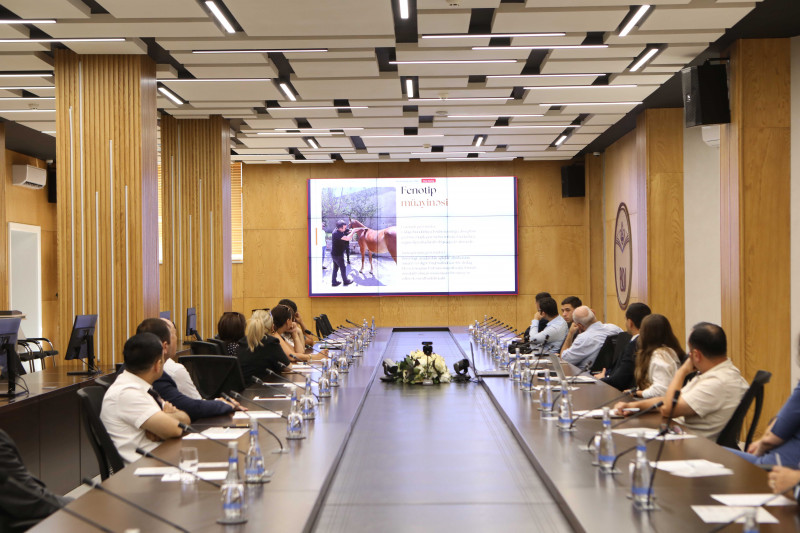 BDU-da “Qarabağ və Dilbaz at cinslərinin genetik xəritəsinin hazırlanması” layihəsinə dair metodoloji müzakirələr keçirilib
