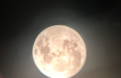 BDU-nun həmtəşkilatçılığı ilə ilin ikinci Ay tutulması müşahidə edilib