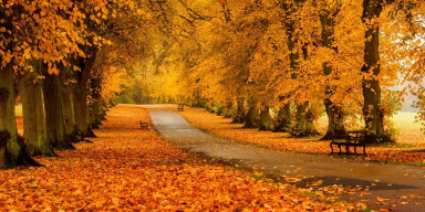 BSU Astrophysicists Announce Start of Autumn on September 22