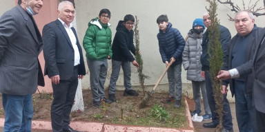 BDU-nun “Gənc istedadlar” liseyində ağacəkmə aksiyası keçirilib