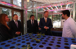 Hungarian Minister of Culture and Innovation Visits Baku State University