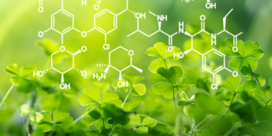 BDU-nun Biologiya fakültəsi xarici universitetlərlə tədqiqat əməkdaşlığını genişləndirir