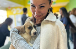 “BDU könüllüləri”nin təşkilatçılığı ilə IDEA Heyvanlara Qayğı Mərkəzinə ekskursiya