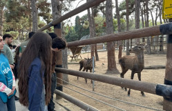 Bakı Zooloji Parkına ekskursiyası təşkil olunub