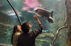 Bakı Zooloji Parkına ekskursiyası təşkil olunub