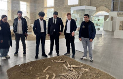 Tələbələrimiz “Daş Salnamə “ muzeyində