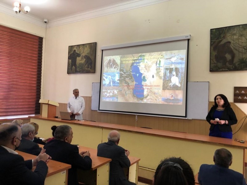 BDU-da “Xəzərin cənub-qərb sahilinin quşlarının trofik və biotopik əlaqələri” mövzusunda elmi seminar