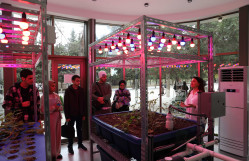 Infotour for International Students Held at BSU