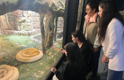 BDU-da biomüxtəlifliyin qorunması innovativ üsullarla tədris olunur