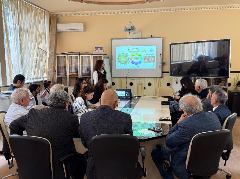 BSU Conducts Research on the Application of Nanoparticles in Biomedicine