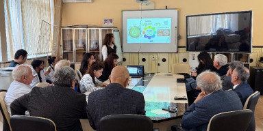 BSU Conducts Research on the Application of Nanoparticles in Biomedicine