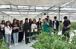 BDU tələbələri Tərəvəzçilik Elmi-Tədqiqat İnstitutunda ekskursiyada