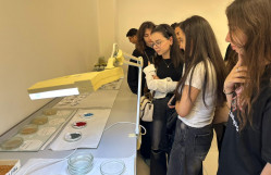 BDU tələbələri Tərəvəzçilik Elmi-Tədqiqat İnstitutunda ekskursiyada