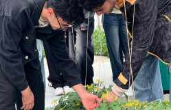 BDU tələbələri Tərəvəzçilik Elmi-Tədqiqat İnstitutunda ekskursiyada