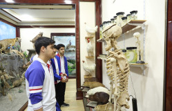 Fizika-riyaziyyat və informatika təmayüllü liseyin şagirdləri BDU-da