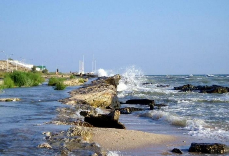A scientific seminar was held on the topic "Natural Vegetation of the Caspian Coast"