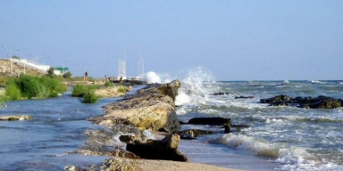 A scientific seminar was held on the topic "Natural Vegetation of the Caspian Coast"