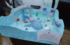 A competition titled “EcoDay-2025” was held at the Faculty of Biology in honor of World Environment Day