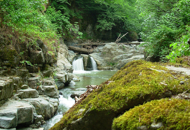 BioGün 2025: BDU tələbələrinin Beynəlxalq Biomüxtəliflik Gününə həsr olunmuş Hirkan səfəri