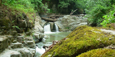 BioDay 2025: Baku State University Students' Trip to Hirkan Dedicated to the International Day for Biological Diversity