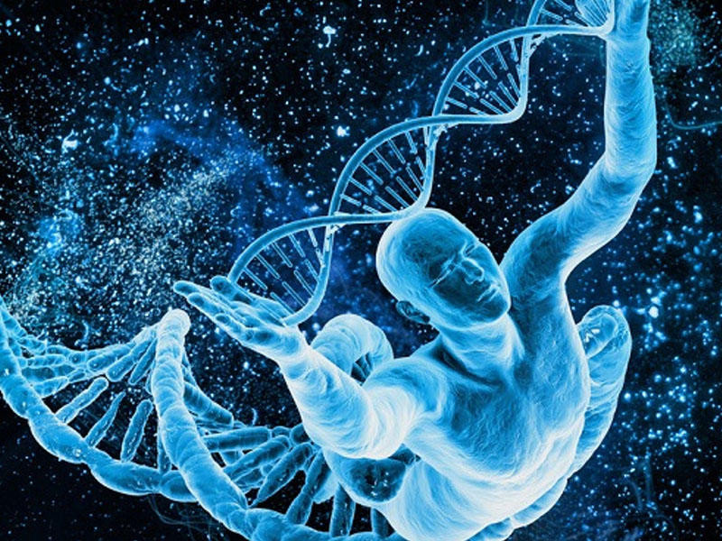 A Scientific-Educational Training on “From a Single Cell to Today: Human Evolution” Held at the Faculty of Biology