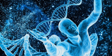 A Scientific-Educational Training on “From a Single Cell to Today: Human Evolution” Held at the Faculty of Biology